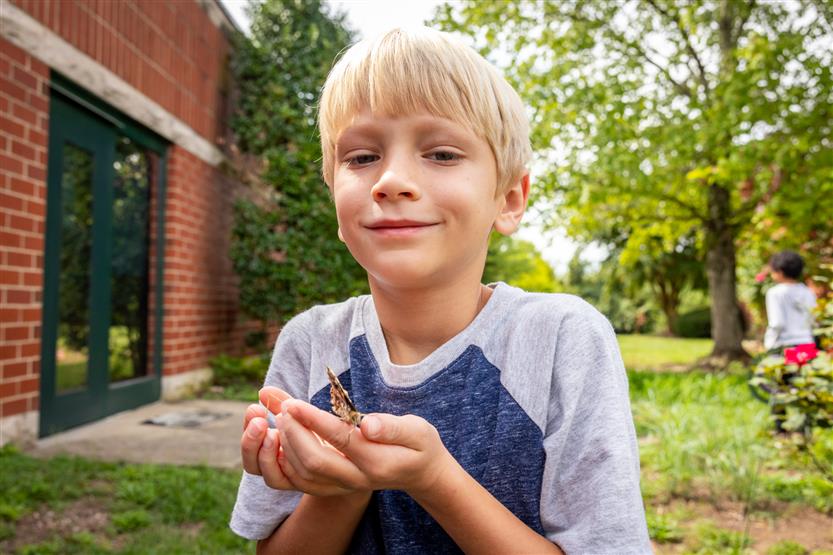 A boy holds a butterfly